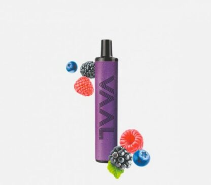 VAAL 500 E-Shisha Mixed Berries